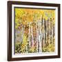 Autumn Birches III-Sharon Pitts-Framed Giclee Print