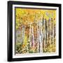 Autumn Birches III-Sharon Pitts-Framed Giclee Print