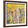 Autumn Birches III-Sharon Pitts-Framed Giclee Print