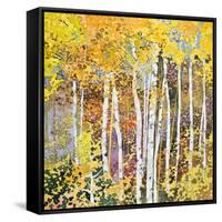 Autumn Birches III-Sharon Pitts-Framed Stretched Canvas