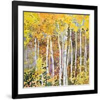 Autumn Birches III-Sharon Pitts-Framed Giclee Print