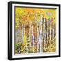 Autumn Birches III-Sharon Pitts-Framed Giclee Print