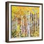 Autumn Birches III-Sharon Pitts-Framed Giclee Print