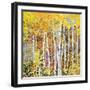 Autumn Birches III-Sharon Pitts-Framed Giclee Print