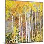 Autumn Birches III-Sharon Pitts-Mounted Giclee Print