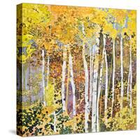 Autumn Birches III-Sharon Pitts-Stretched Canvas