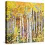 Autumn Birches III-Sharon Pitts-Stretched Canvas