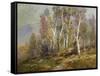 Autumn Birches in the Catskills-Edward B. Gay-Framed Stretched Canvas