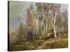 Autumn Birches in the Catskills-Edward B. Gay-Stretched Canvas