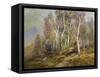 Autumn Birches in the Catskills-Edward B. Gay-Framed Stretched Canvas