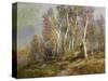 Autumn Birches in the Catskills-Edward B. Gay-Stretched Canvas