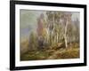 Autumn Birches in the Catskills-Edward B. Gay-Framed Giclee Print