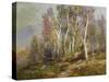 Autumn Birches in the Catskills-Edward B. Gay-Stretched Canvas