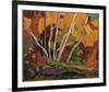 Autumn Birches-Tom Thomson-Framed Giclee Print