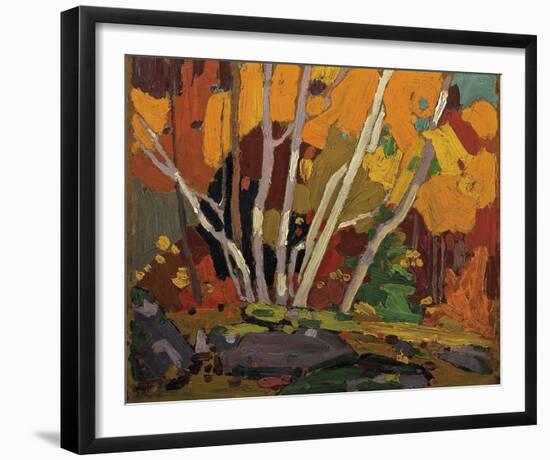 Autumn Birches-Tom Thomson-Framed Giclee Print