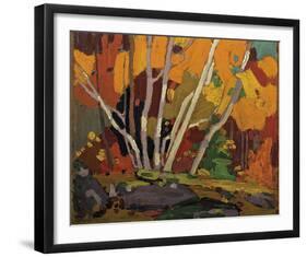 Autumn Birches-Tom Thomson-Framed Giclee Print