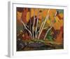 Autumn Birches-Tom Thomson-Framed Giclee Print