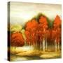 Autumn Birchwood I-Michael Marcon-Stretched Canvas