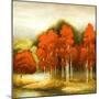 Autumn Birchwood I-Michael Marcon-Mounted Art Print