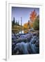 Autumn Bishop Creek Canyon, Eastern Sierras, California-Vincent James-Framed Photographic Print