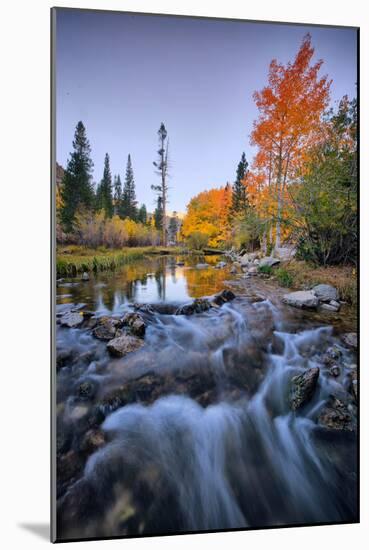 Autumn Bishop Creek Canyon, Eastern Sierras, California-Vincent James-Mounted Photographic Print