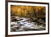 Autumn Bliss-Danny Head-Framed Photographic Print