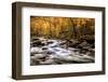 Autumn Bliss-Danny Head-Framed Photographic Print