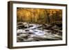 Autumn Bliss-Danny Head-Framed Photographic Print