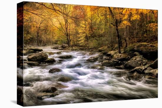 Autumn Bliss-Danny Head-Stretched Canvas