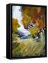 Autumn Bloom II-Michael Tienhaara-Framed Stretched Canvas