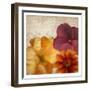 Autumn Blooms 1-Kimberly Allen-Framed Art Print