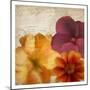 Autumn Blooms 1-Kimberly Allen-Mounted Art Print