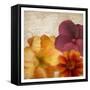 Autumn Blooms 1-Kimberly Allen-Framed Stretched Canvas
