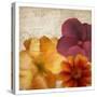 Autumn Blooms 1-Kimberly Allen-Stretched Canvas