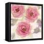 Autumn Blooms II-Marabeth Quin-Framed Stretched Canvas