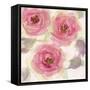 Autumn Blooms II-Marabeth Quin-Framed Stretched Canvas