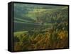 Autumn, Blue Ridge Parkway, Virginia, USA-Charles Gurche-Framed Stretched Canvas