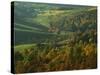 Autumn, Blue Ridge Parkway, Virginia, USA-Charles Gurche-Stretched Canvas