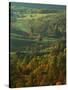 Autumn, Blue Ridge Parkway, Virginia, USA-Charles Gurche-Stretched Canvas