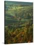 Autumn, Blue Ridge Parkway, Virginia, USA-Charles Gurche-Stretched Canvas