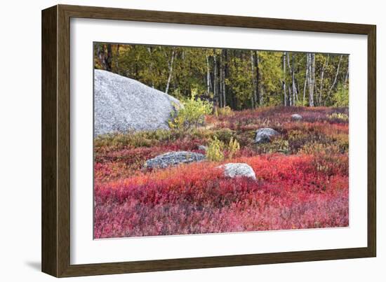 Autumn, Blueberry Barrens, Granite Rocks, East Orland, Maine, Usa-Michel Hersen-Framed Photographic Print