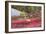 Autumn, Blueberry Barrens, Granite Rocks, East Orland, Maine, Usa-Michel Hersen-Framed Photographic Print