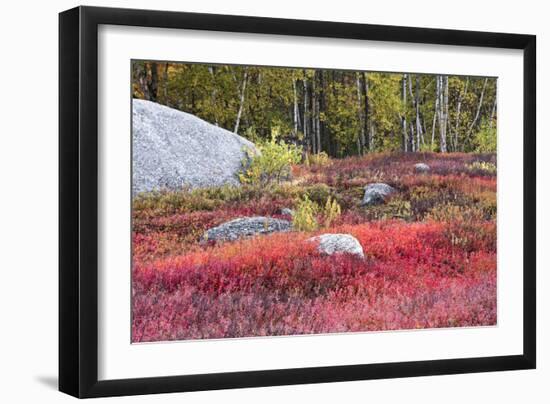 Autumn, Blueberry Barrens, Granite Rocks, East Orland, Maine, Usa-Michel Hersen-Framed Photographic Print