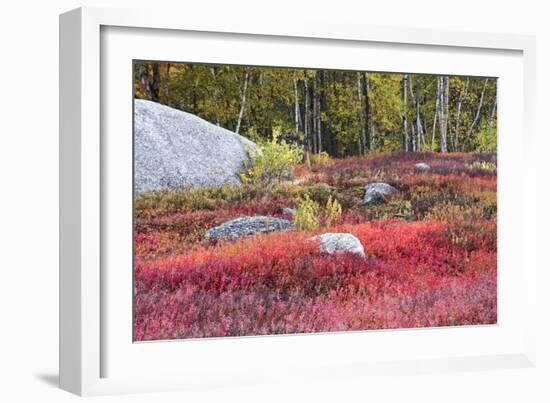 Autumn, Blueberry Barrens, Granite Rocks, East Orland, Maine, Usa-Michel Hersen-Framed Photographic Print