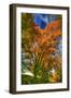 Autumn Borden Road Vertical-Robert Goldwitz-Framed Photographic Print