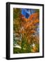 Autumn Borden Road Vertical-Robert Goldwitz-Framed Photographic Print