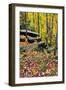 Autumn Boulders-KennethKeifer-Framed Premium Photographic Print