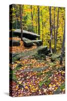 Autumn Boulders-KennethKeifer-Stretched Canvas