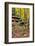 Autumn Boulders-KennethKeifer-Framed Photographic Print