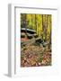 Autumn Boulders-KennethKeifer-Framed Photographic Print
